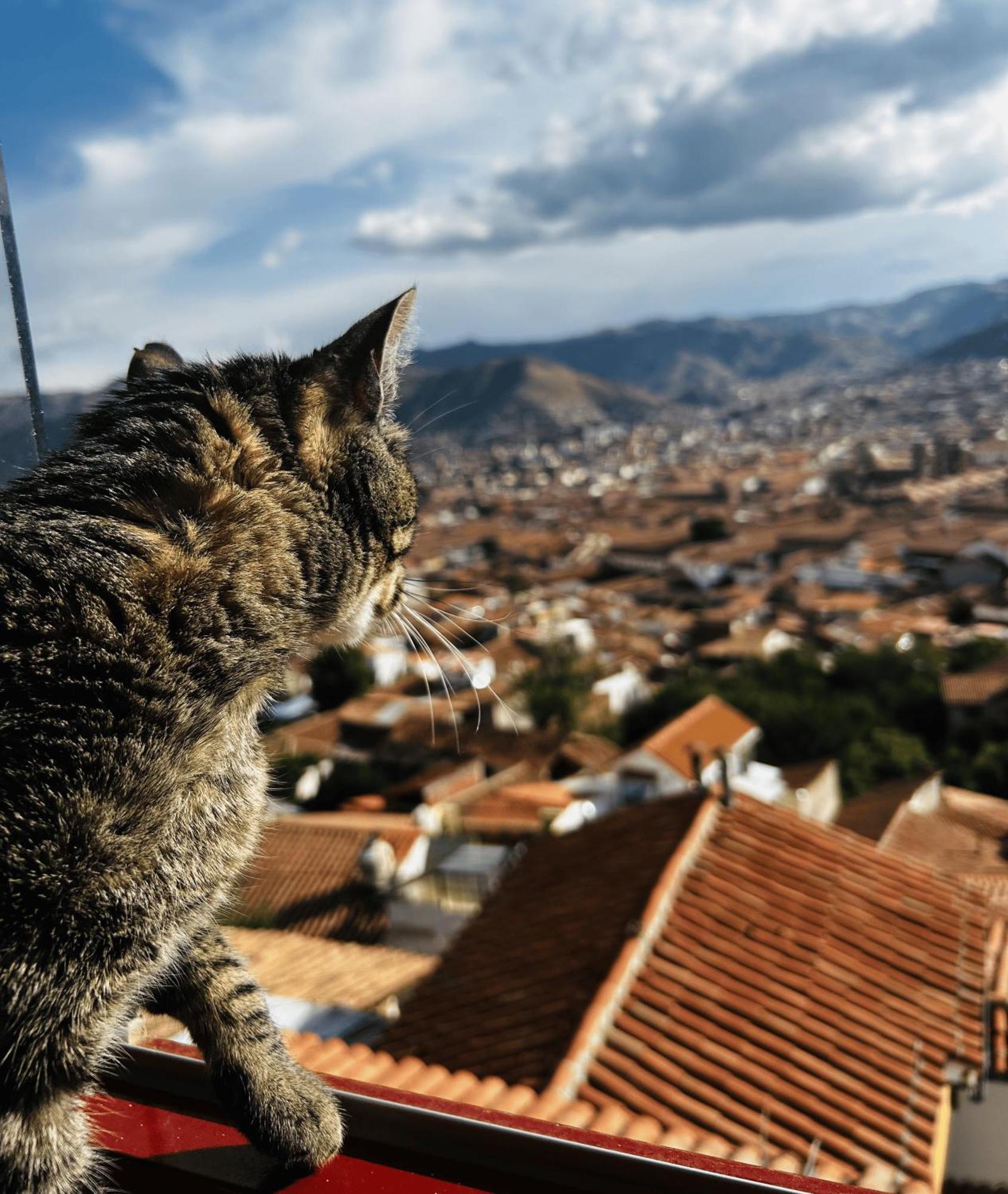 Summit Viewpoint House San Blas Cusco Extérieur photo
